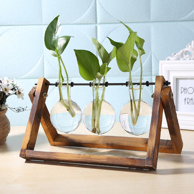 Glass and Wood Vase Planter Terrarium Table Desktop Hydroponics Plant Bonsai Flower Pot Hanging Pots with Wooden Tray Home Decor - Bellagala | Minnesota